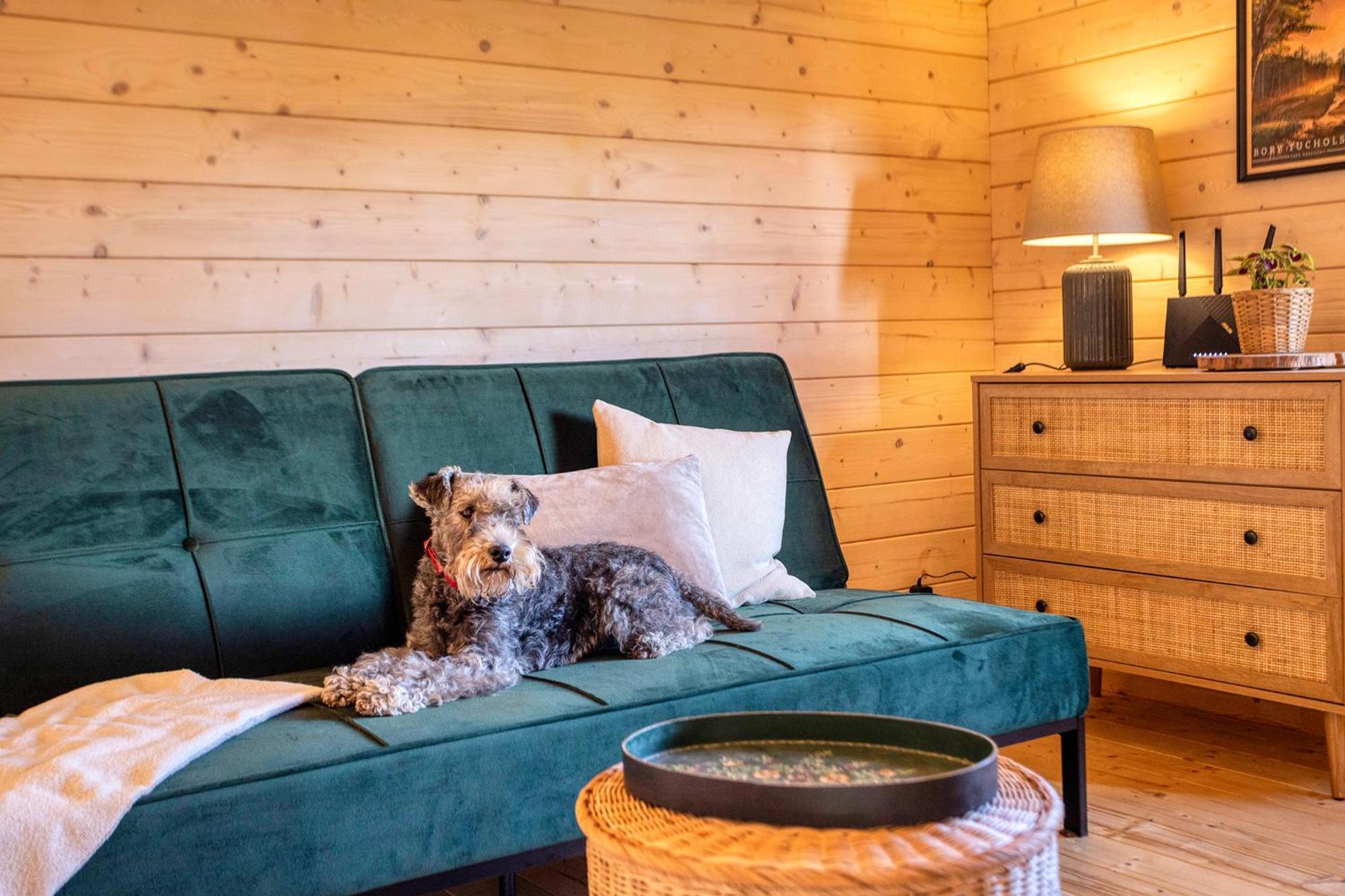 Holiday home Bory Za Plotem Trzebciny