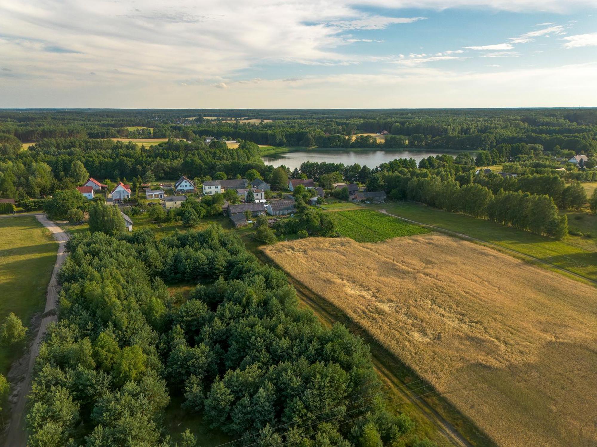 Bory Za Plotem Holiday home Trzebciny